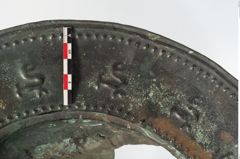 Foto von Bronzebreitrandfußschale (NHMW-PRAE-024138)